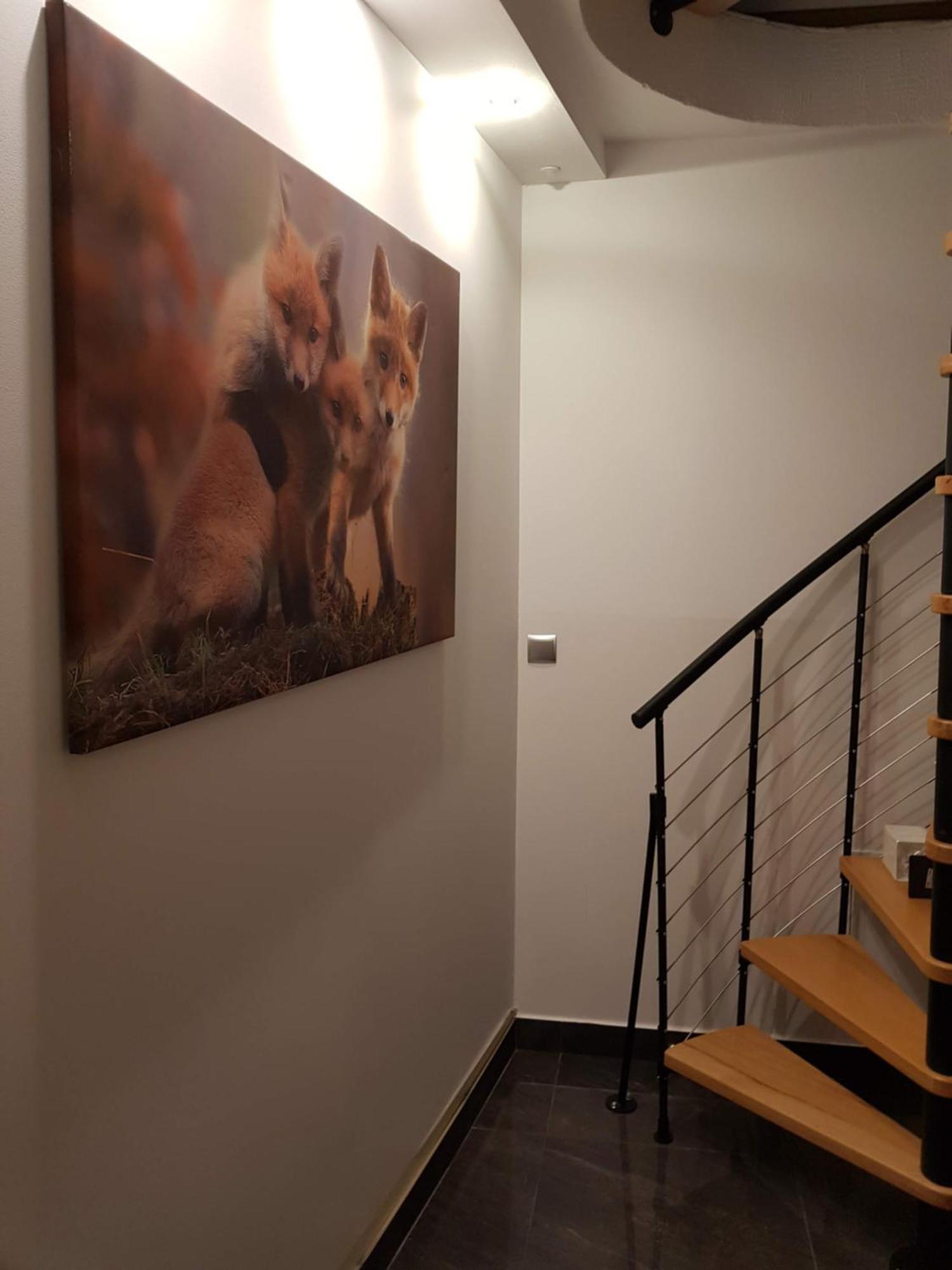Apartamenty Magiczny Kacik Poronin Eksteriør billede